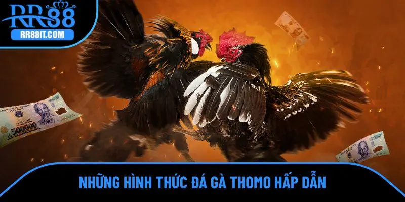 Những hình thức đá gà Thomo hấp dẫn