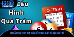 Soi Cầu Quả Trám Đơn Giản Dễ Trúng Nhất Từ Bậc Cao Thủ
